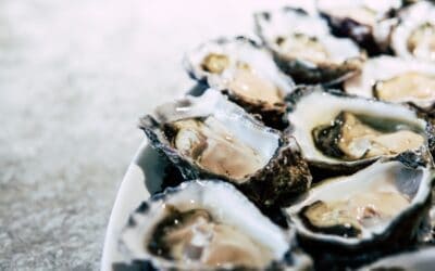 OYSTERS ARE AN APHRODISIAC. SO THERE’S THAT. HERE ARE 5 OTHER REASONS WHY THEY ARE GOOD FOR YOU