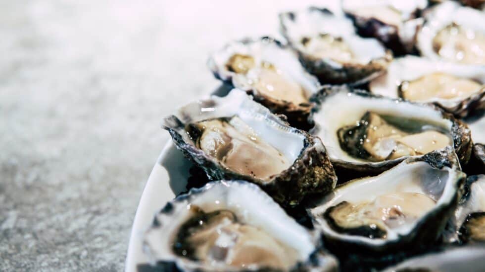 5 reasons why oysters are really good for you