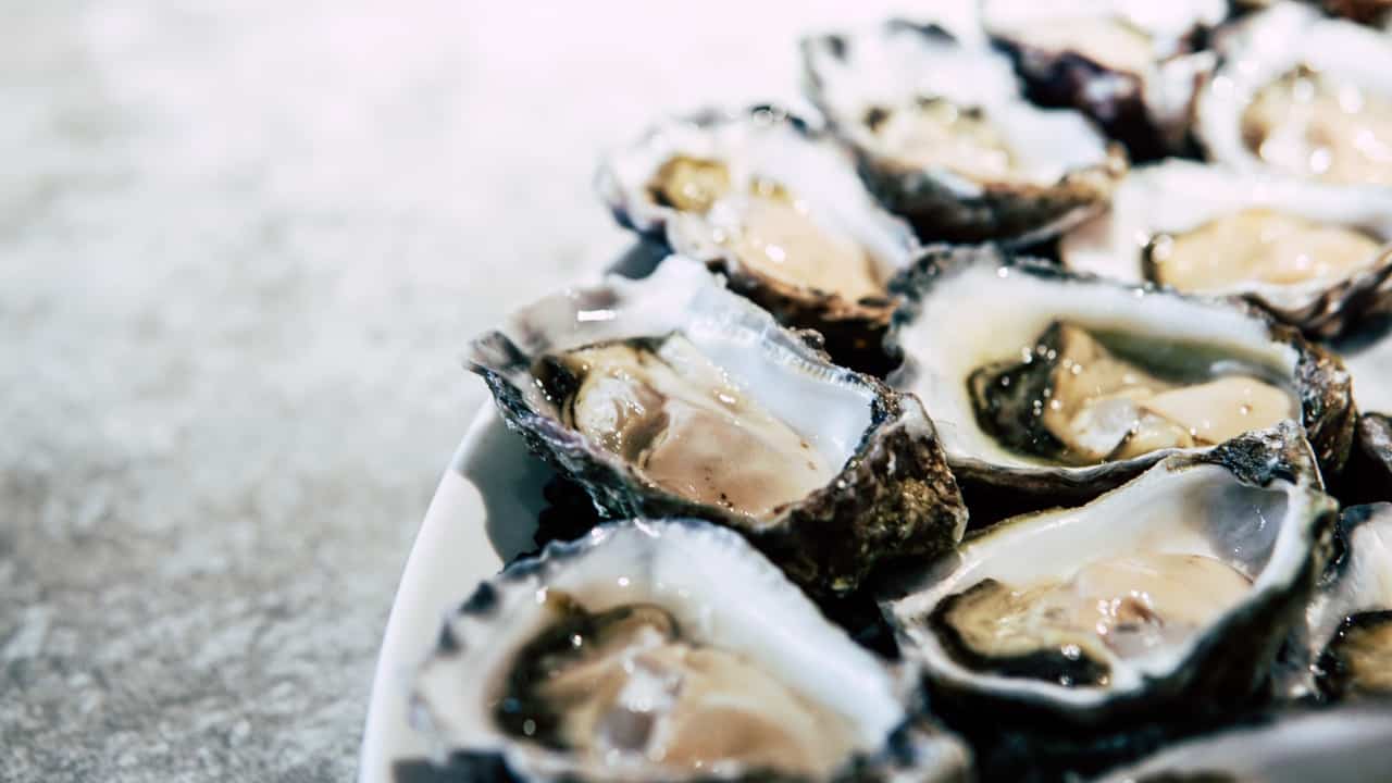 5 reasons why oysters are good for you Regarding Luxury