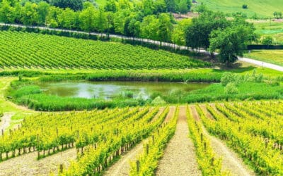 TRAVEL ITALY: “ASK THE DUST” WINE BY THE SLEEPING BEAUTY MOUNTAINS IN ABRUZZO