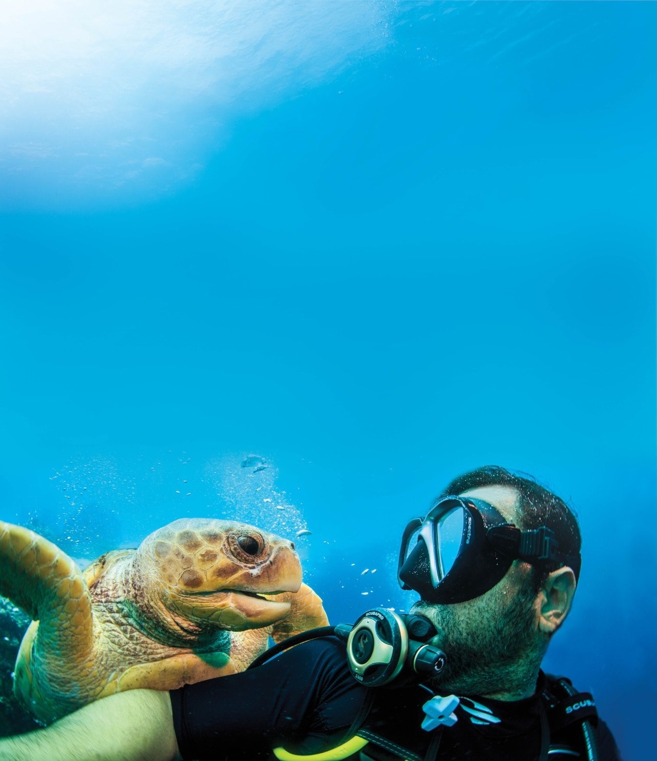 Bahamas Scuba Diving