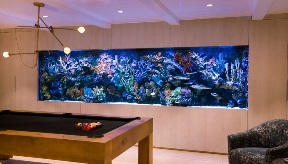 Interior design Luxury aquarium for the homebound clientele