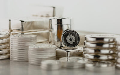 AN ESSENTIAL GUIDE TO STORING AND PROTECTING YOUR PRECIOUS METALS