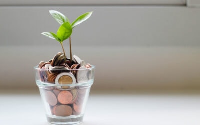 MAKING YOUR MONEY GROW WITH A HIGH-INTEREST SAVINGS ACCOUNT