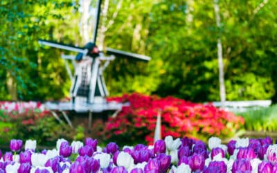 FAN OF VIBRANT SPRING FLOWERS? THEN CHECK OUT THESE 6 VACATION DESTINATIONS