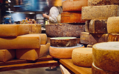 What Are The Health Benefits And Risks Of Eating Cheese?