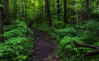 NOBLE COUNTY AND THE HEALING POWER OF NATURE WALKS