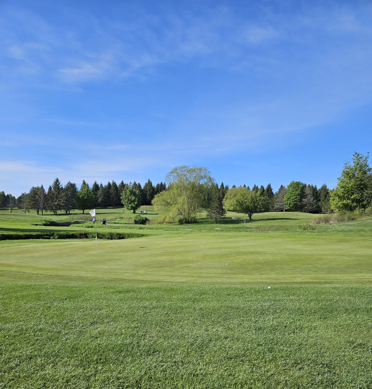 Oswego Golf Stone Creek 4