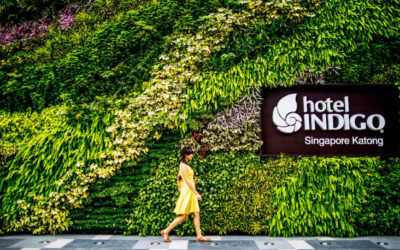 HOTEL INDIGO SINGAPORE KATONG: FUSION OF PERANAKAN HERITAGE AND MODERN LUXURY