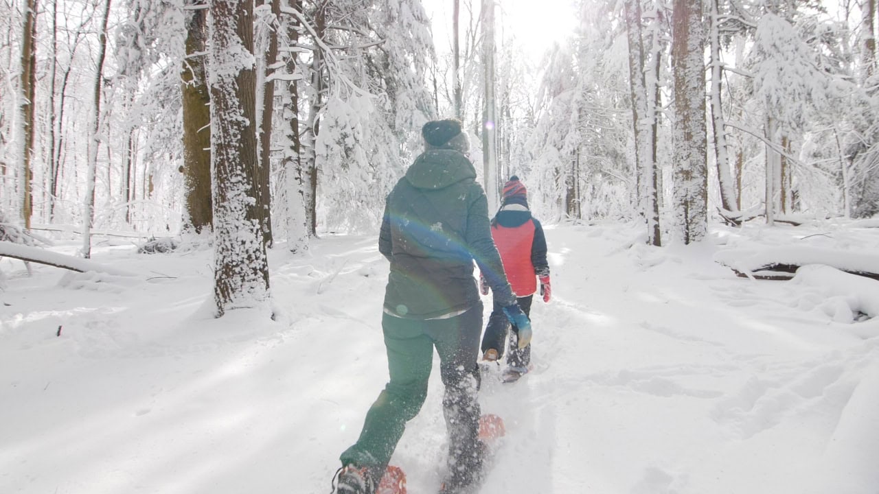 Snowshoeing