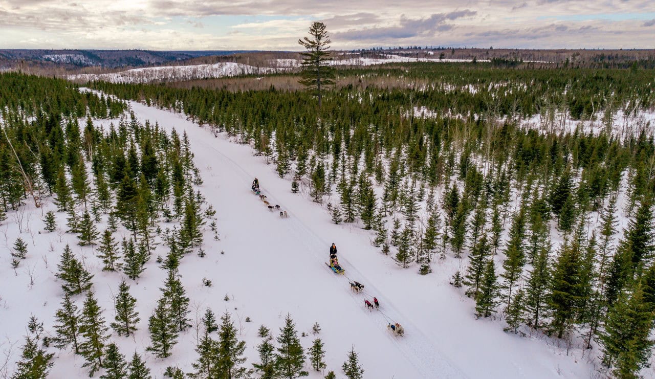 Chaleur_DogSled_1_BirchBark