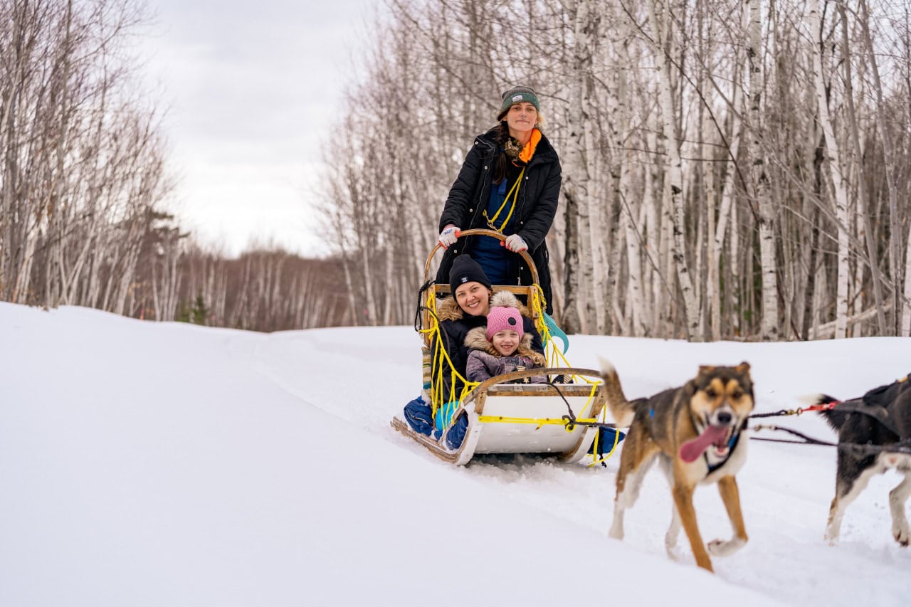 Chaleur_Dogsled_2_Birchbark