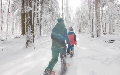 WINTER WONDERLAND: THE SNOW IS FALLING IN CHAUTAUQUA COUNTY