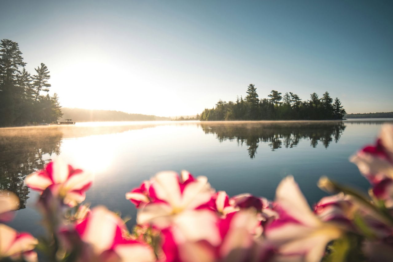 Haliburton Lakeside By Derek Sutton Unsplash
