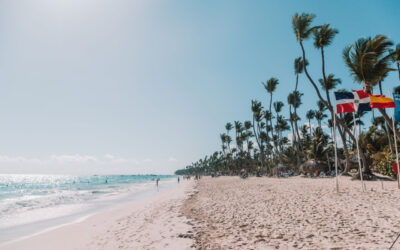 Online Betting Apps: Turning Betting Into a Luxury Leisure Experience